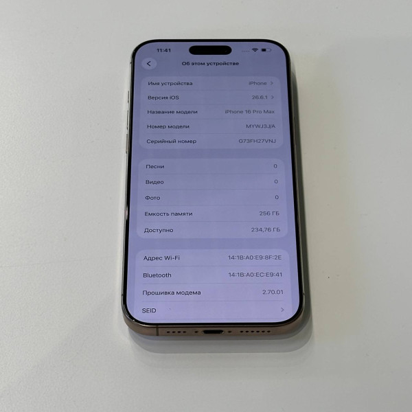 Apple iPhone 16 Pro Max 256 ГБ (eSIM + nano SIM), «Песчаный титановый» — фото 5
